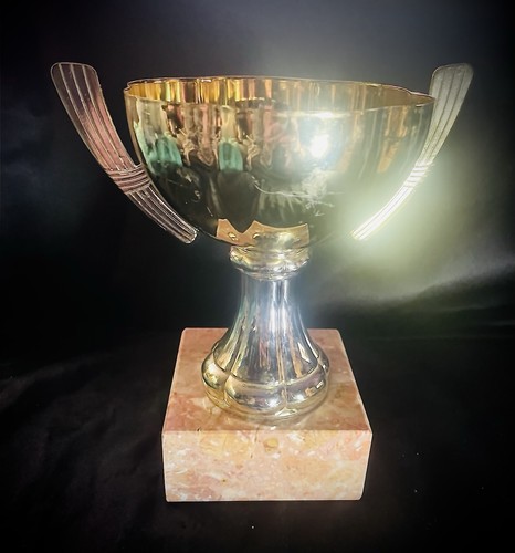 Vintage 2001 AERC National Championship 100 Ml Ride 1st Horse Equestrian Trophy - Picture 5 of 8