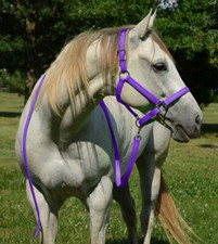 HORSE SIZE- Orchid Purple TURNOUT HALTER Made from BETA BIOTHANE