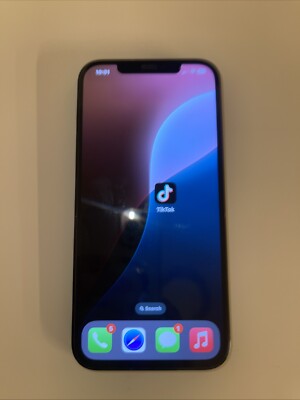 iPhone 12 Pro Max (willing To Change Price)
