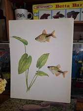 Vintage Aquarium Fishbowl Pet Store Tropical ...