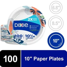 Disposable Paper Plates 100 Count Multicolor Party Dinner Plates for Events