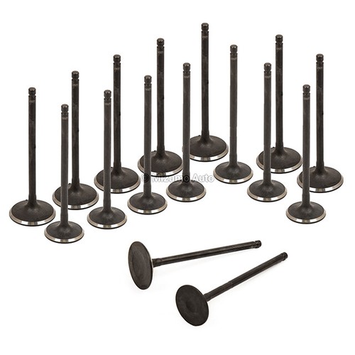 Head Gasket Set Intake Exhaust Valves Fit 09-12 Ford Escape Mercury 2.5L - Picture 3 of 12