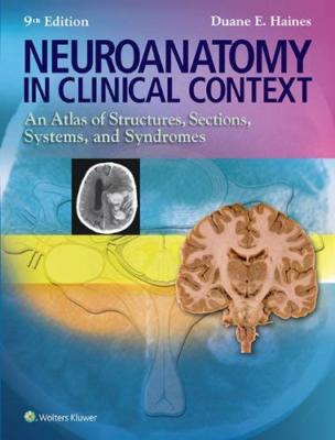 Neuroanatomy by Duane Haines 9781451186253| eBay