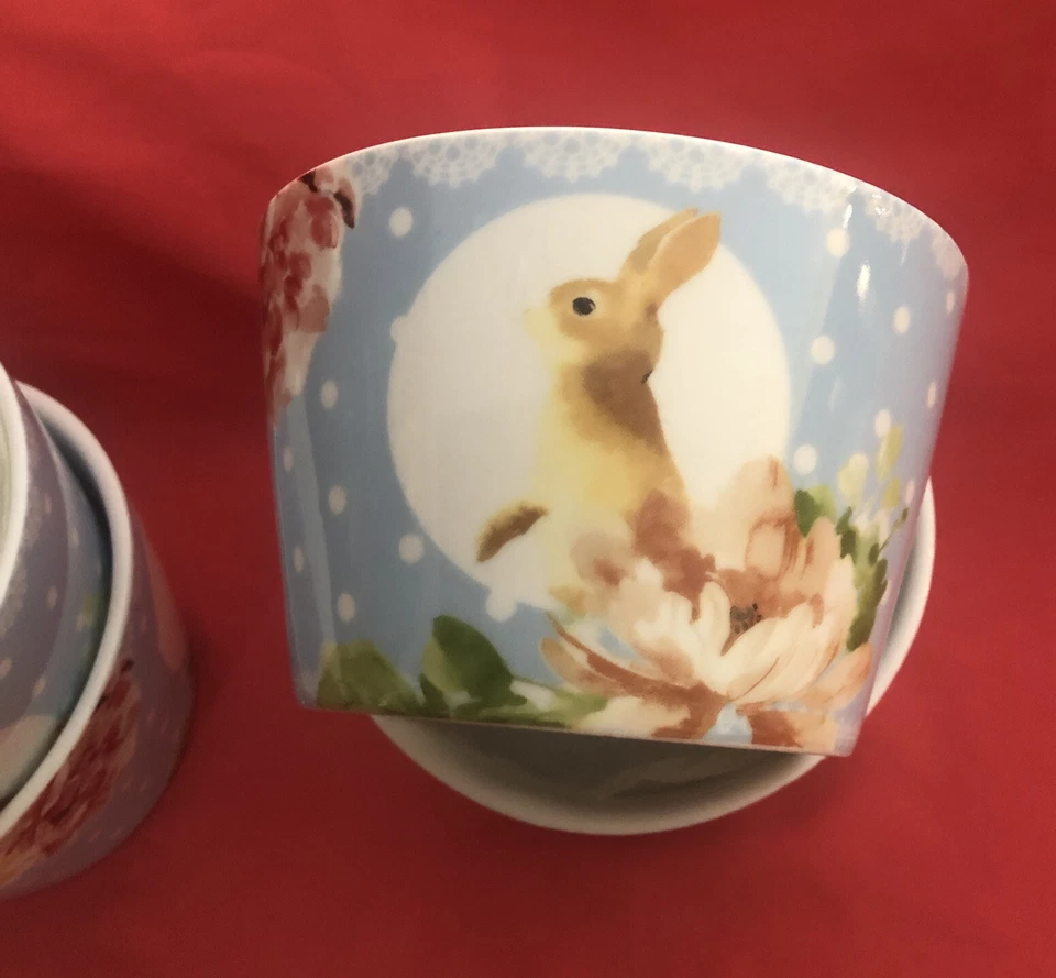 LEANNA de 222 QUINTO Spring Bunny Fruta Helado Postre Cuencos Juego de 4 Foto 2 de 4