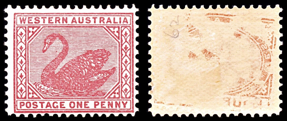 6950 Western Australia SG117 1D Carmine Rose 1902. Sc#76 Mi 49A como nuevo MH. C£29 Foto 2 de 4