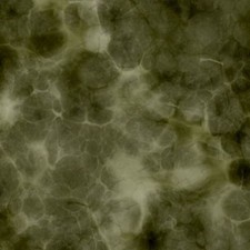 Alien Camouflage 25 - 16" x 48" Hydrographic Film Hydro Dipping
