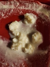 Organic Water Kefir Grains - for Probiotic Health 1 tablespoon