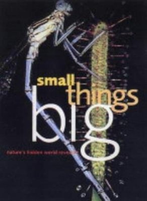 Small Things Big : Close-Up and Macro Photography Paul Harcourt D