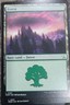 MTG MAGIC THE GATHERING BASIC LAND Forest Non-Foil NM Read Description 