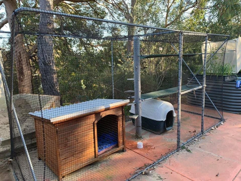 caboodle cat enclosure