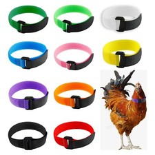 10Pack No Crow Rooster Collar Anti-Noise Neck Belt for Roosters Cockerel