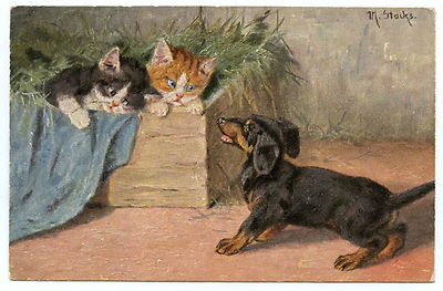 DACHSHUND AND CAT DOG DACHSHUND AND CAT