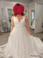 David’s Bridal Wedding Dress
