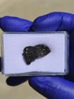 NWA 13522 CV3 Carbonaceous Chondrite Meteorite 3.959g Rare Individual COA — photo 10
