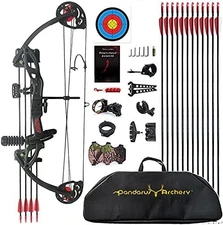 Compound Bow Archery kit for Youth ＆Beginner,15-29 lbs,Adjustable LW Hunting Bow