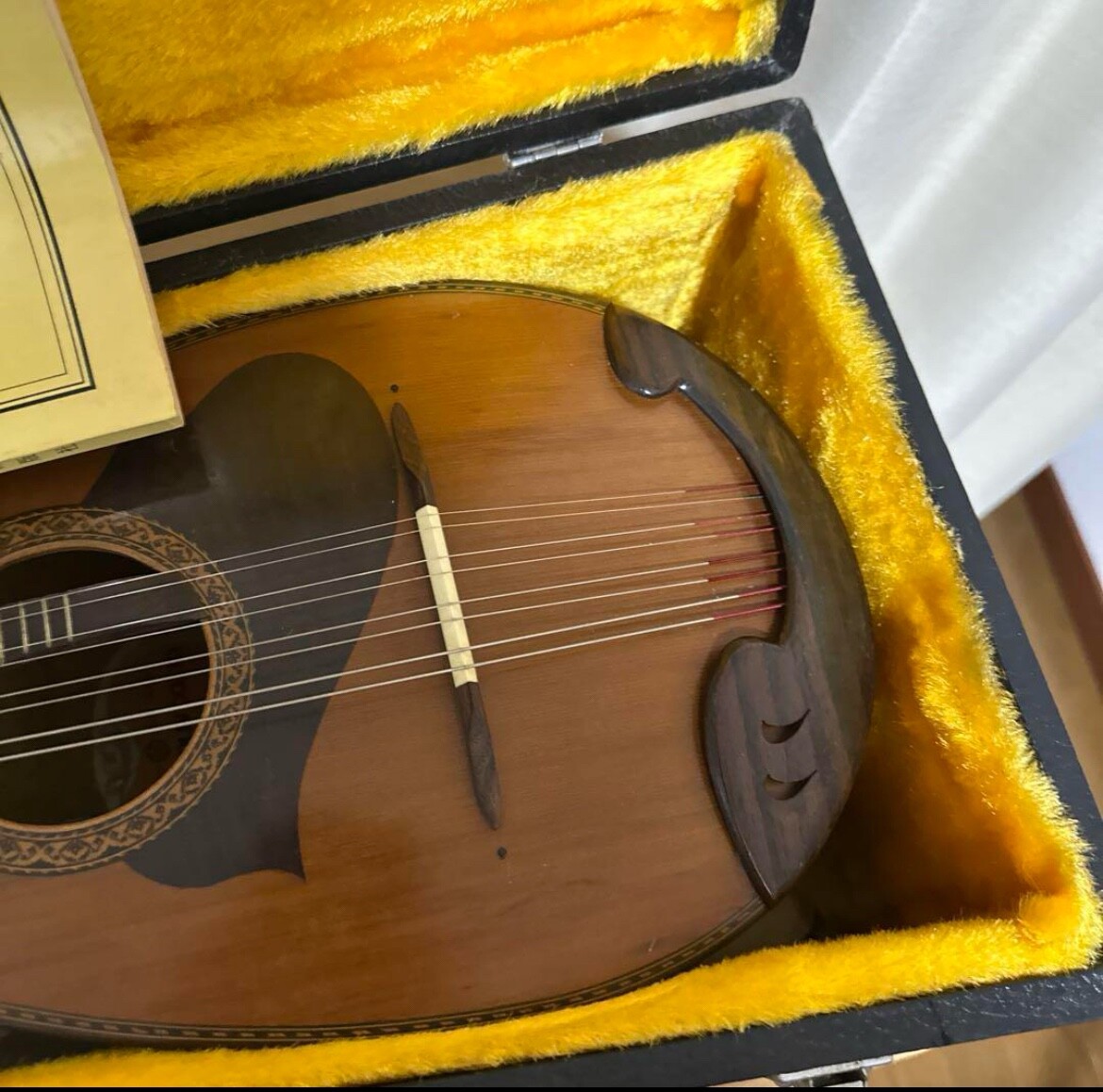 Suzuki Violin M-215 Mandolin in 1974 Bowlback Solid Spruce