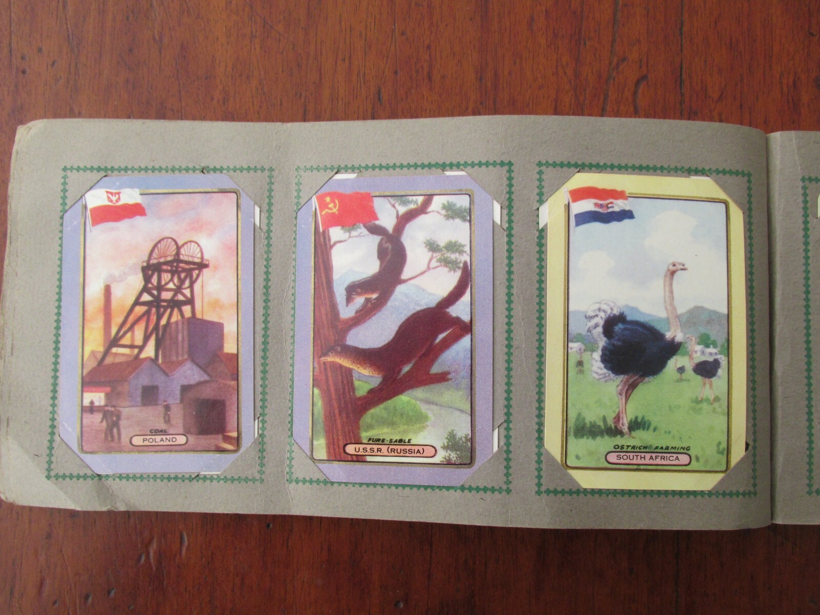 Bulk Lot 60 Melbourne Olympic Games Coles Swap Cards in Original Album