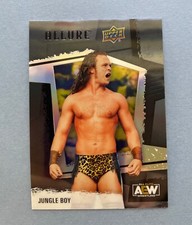 2022 Upper Deck AEW Allure Jungle Boy Black Rainbow #10 Wrestling