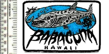 Surfing a Hawaii Hawaiian Island Creations HIC Barracuda Surfboard NO TARIFF