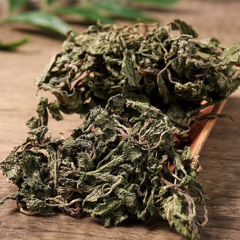 Organic Herbal Common Sage Herb Saluia Plebeia R. Br. Great Quality