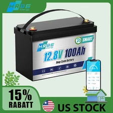 12V 100Ah LiFePO4 Lithium Battery Mini Bluetooth Monitorin 10000+Cycles RV Solar