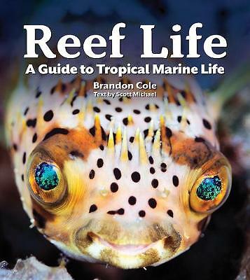 Reef Life: A Guide to Tropical Marine by Michael ScottBrandon Cole (PB 2020) - Image 4