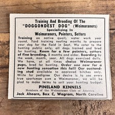 1952 PINELAND KENNELS Weimaraners Setters Tra...