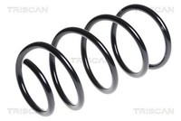 1X Fahrwerksfeder Triscan 8750 11129 FüR Bmw E60 5Er 525 530 535 540 545