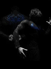 Breathedivinity  Fitness Sports Quick-Dry Stretchable Long-Sleeved Shirt