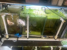 Large Fish Tank