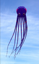 3D 26ft 8m Single Line purple Octopus Power Sport huge soft Kite Outdoor Toy US
