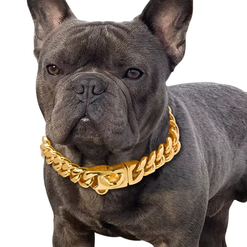 Gold Dog Collar Big Dog Collar Stainless Steel Large Dog Outdoor, 10 SIZES-Chain