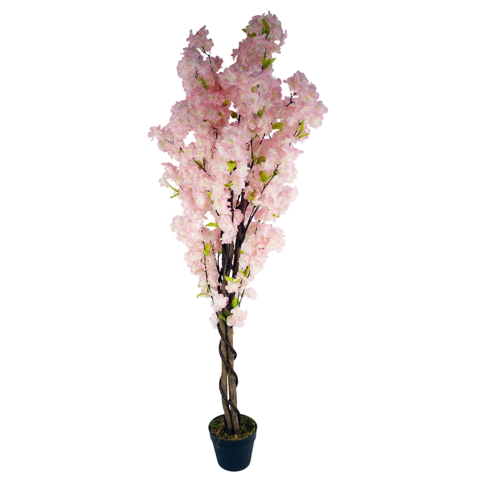 150cm Blossom - 40571