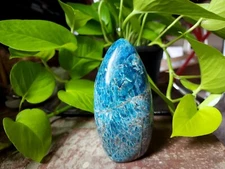 Blue Apitite Freeform crystals rocks minerals