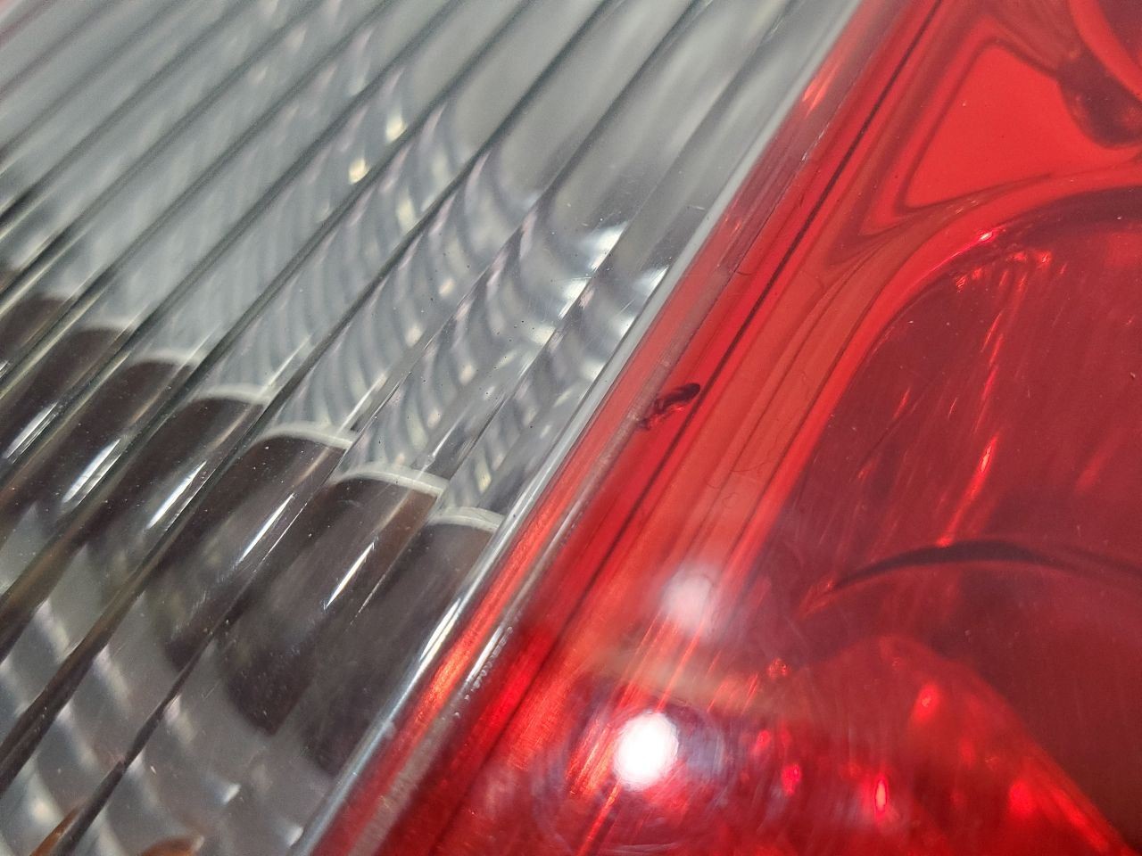 2003 Maserati Spyder Cambiocorsa OEM Left Rear Taillight 