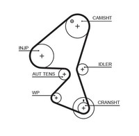 Steuerriemen 5598XS Gates FüR Peugeot CitroËN Ford Fiat Suzuki Mini