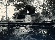 German Pzkw.I Panzer Tank Stopped in Woods 5"x 7" World War II WW2 Photo 10P