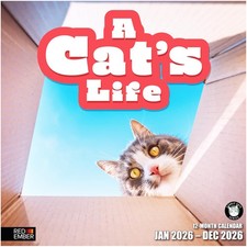 RED EMBER A Cat's Life 2026 Wall Calendar 12 Month New 2026, 02 A