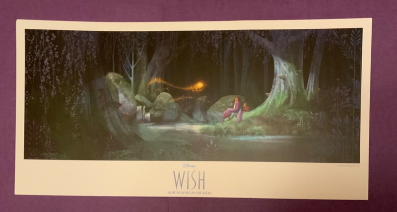 NEW Disney Magic Key Pass Exclusive Wish Movie Poster 14x7 Inches