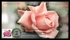 Mayfairstamps US FDC 1999 Indiana pink rose First Day Cover aaw_49207