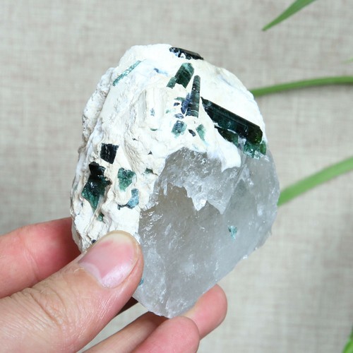 A8713-251g Rare Natural Green Tourmaline quartz crystal point healing - Picture 2 of 12