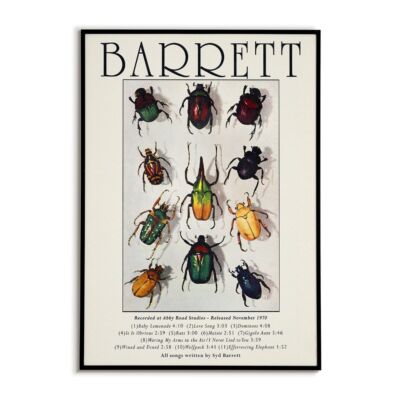 Syd Barrett Poster | Retro 70s Psychedelic Folk Wall Art