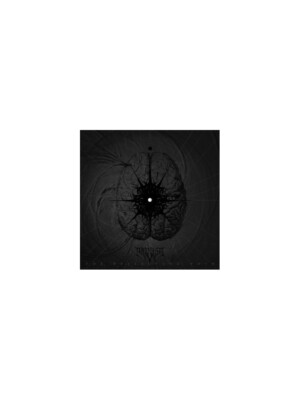 INFESTUS - The Reflecting Void * DIGI * DMP0105-07-0610585201510