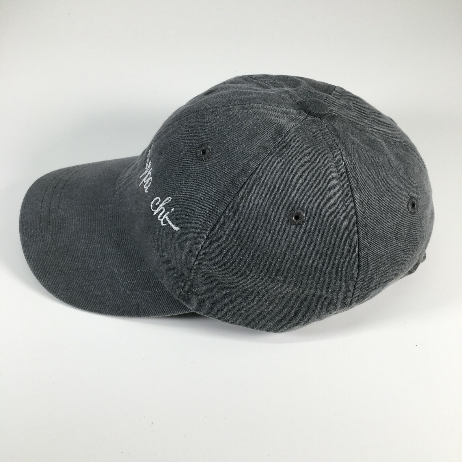 Lambda Kappa Chi Gray Baseball Cap Embroidered OS… - image 2