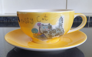 Whittard Of Chelsea Designed By Beth Messy Cat Cup & Saucer