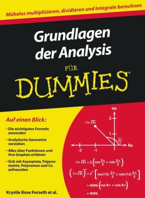 Grundlagen der Analysis für Dummies Mark Ryan