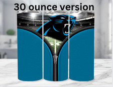 Carolina Panthers NFL Football 30 Oz Stainless Steel Metal Straw Tumbler Blue