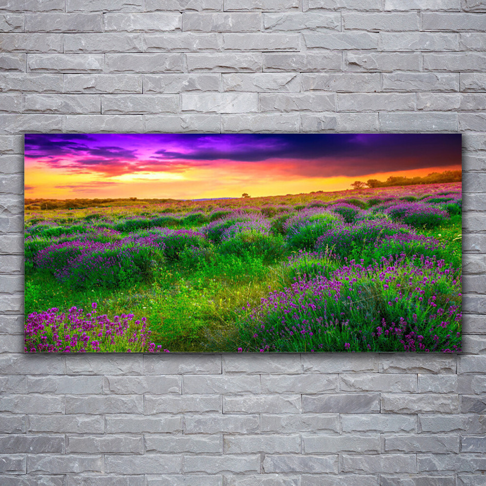 Tableau sur verre 120x60 Prairie Tulup decoration murale moderne paysage vert