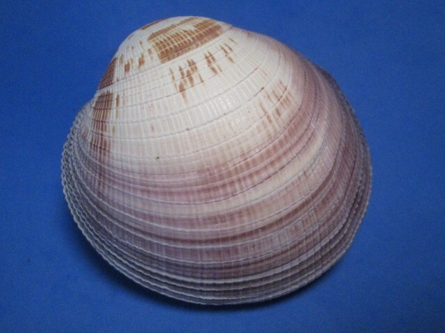 Picture 3 of 4