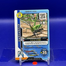 Acrida cinerea The King of Beetle Mushiking Card Game S-4-14 2003 001